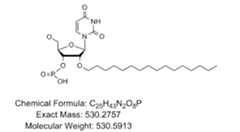 Figure imgf000092_0001