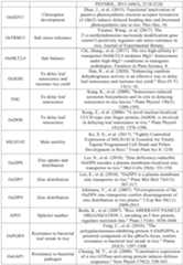 Figure PCTCN2022090268-appb-000061