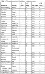 Figure imgf000054_0001