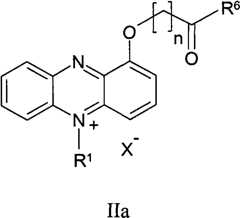 Figure BPA00001263293900152