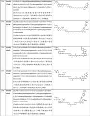 Figure GDA0003276334280000511