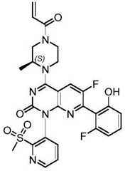 Figure BDA0002861043520001001