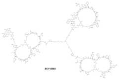 Figure 0007704732000126