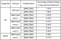 Figure imgf000106_0001