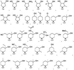 Figure PCTCN2022124111-appb-000036