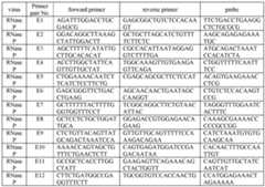 Figure imgf000015_0001