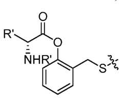 Figure imgf000359_0002