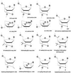 Figure imgf000042_0001