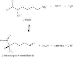 Figure US08133704-20120313-C00027