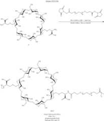 Figure US08475781-20130702-C00056