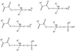 Figure imgf000062_0001