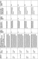 Figure imgf000031_0001