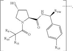 Figure US10772962-20200915-C00019