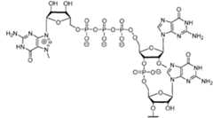 Figure imgf000135_0001