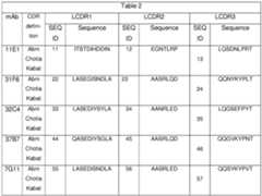 Figure imgf000052_0001