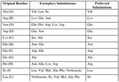 Figure imgf000028_0001