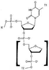 Figure imgf000372_0003