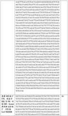 Figure BDA0002508391090001261