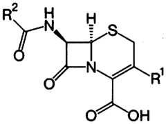 Figure imgf000002_0001