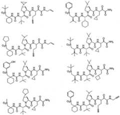 Figure imgf000307_0002