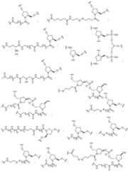 Figure imgf000062_0001