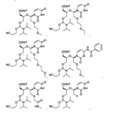 Figure imgf000142_0002