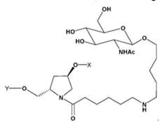 Figure imgf000068_0003