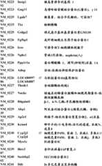 Figure BDA0000057170160001461