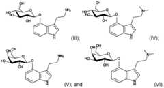 Figure imgf000007_0001