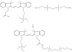 Figure US06348599-20020219-C00024