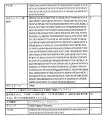 Figure 0007438604000086