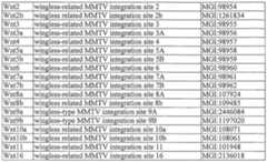 Figure imgf000062_0001