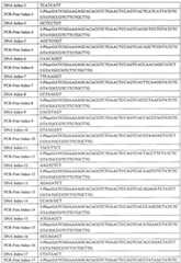 Figure BSA00000293336400051