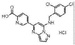 Figure 0007232244000032