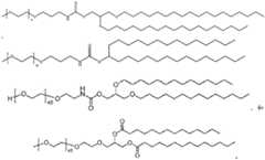 Figure BDA0004113835070001251