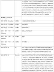 Figure imgf000047_0001