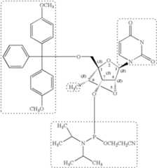 Figure US08022193-20110920-C00017
