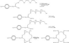 Figure US06358490-20020319-C00030