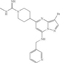 Figure US07119200-20061010-C00234