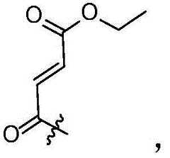 Figure BDA0002268634580001596