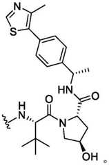 Figure BDA0003783300830001378