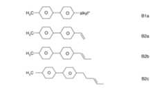 Figure 2024079817000064