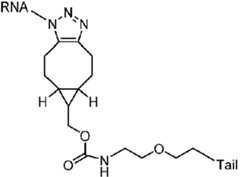 Figure imgf000113_0001