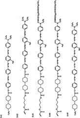 Figure G2010100029919D00241