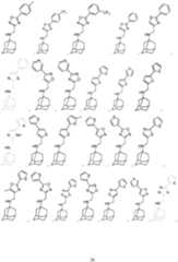 Figure imgf000027_0001