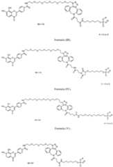 Figure imgf000039_0001