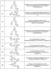 Figure imgf000307_0001