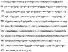 Figure BDA0002465283840000621