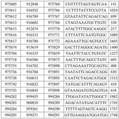 Figure BDA0002976854330001841