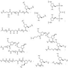 Figure imgf000060_0002